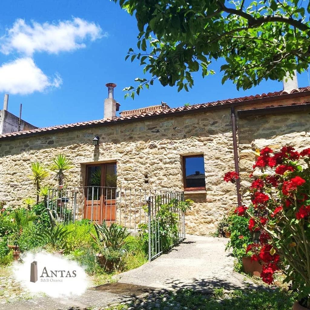 Is Antas Bed and Breakfast Orroli Buitenkant foto